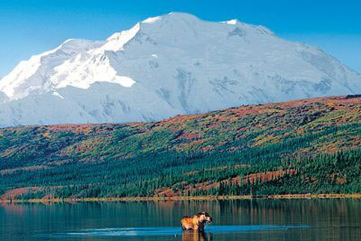 Denali National Park