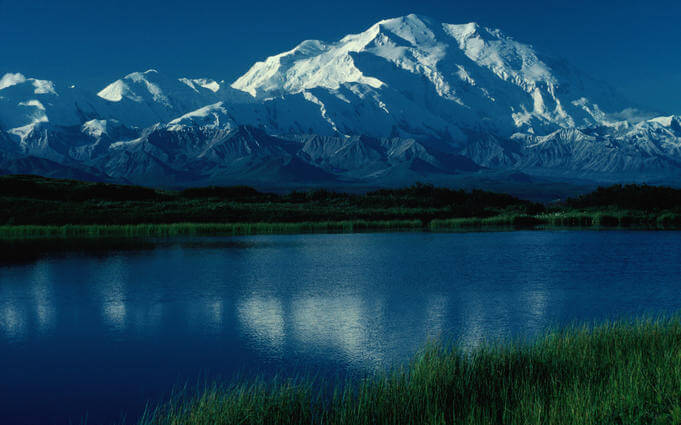 Denali National Park